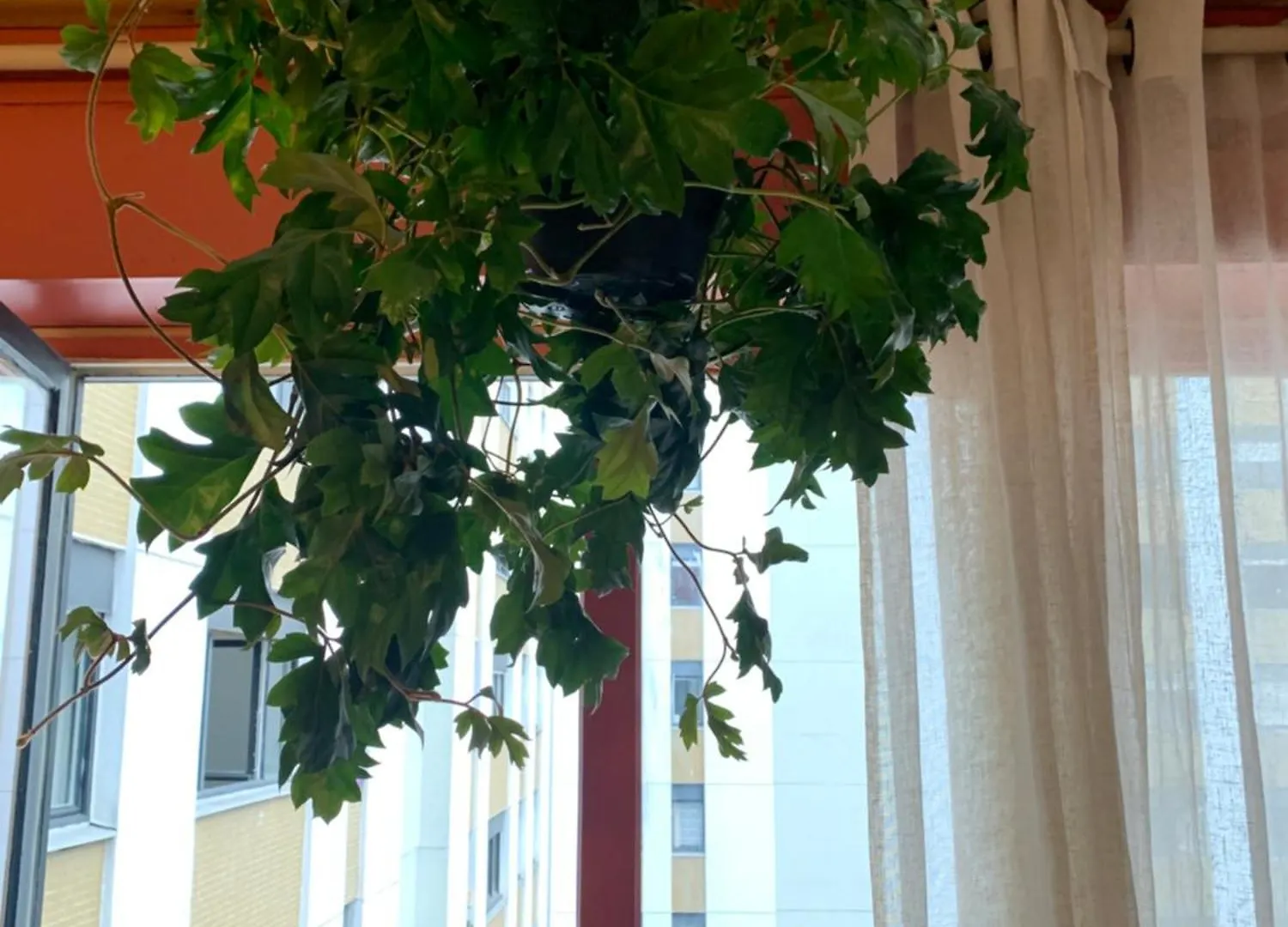 Appartement Un Cozy Au Coeur De *