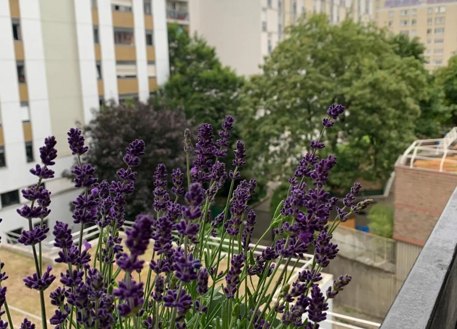 Un Cozy Au Coeur De * Parijs